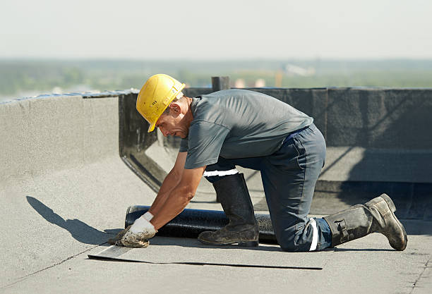 Best Residential Insulation in Sudden Valley, WA