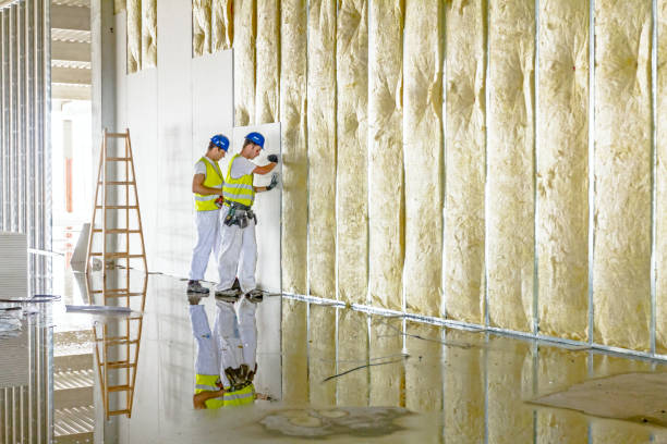 Best Types of Insulation in Sudden Valley, WA